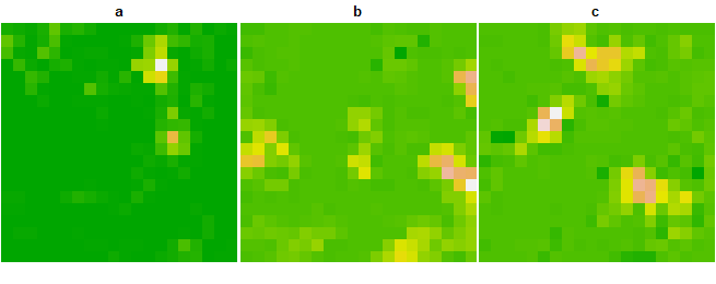 Figure 3. Species distributions after 20 simulation steps with 4-neighbor interactions and neighbor-averaged cross-variable dynamics.