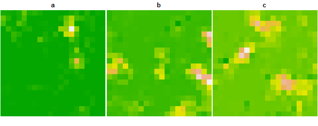 Figure 2. Species distributions following spatiotemporal interaction and evolution after 20 simulation steps with 4-neighbor interactions.