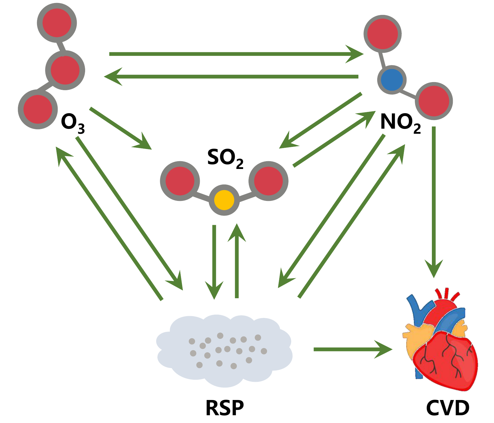 **Figure 4**. Causal interactions between air pollutants and cardiovascular diseases in Hong Kong.